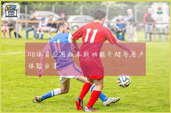 ng体育应用版本新功能介绍与用户体验分享