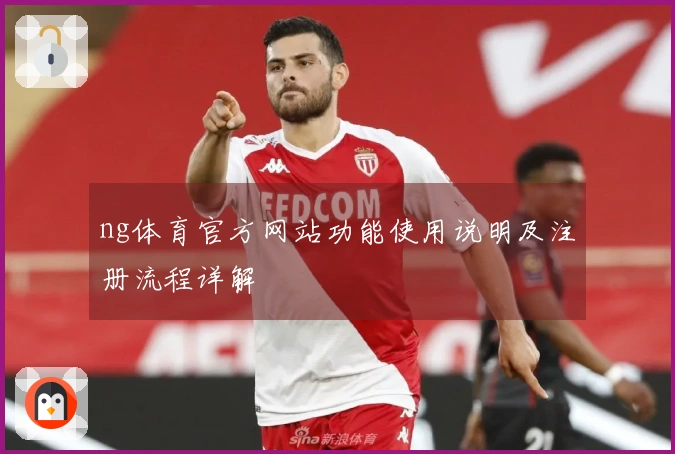 ng体育官方网站功能使用说明及注册流程详解
