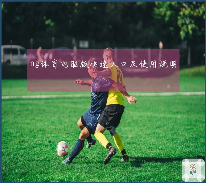 ng体育电脑版快速入口及使用说明