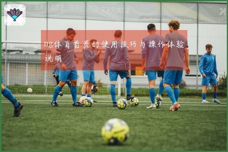 ng体育首页的使用技巧与操作体验说明